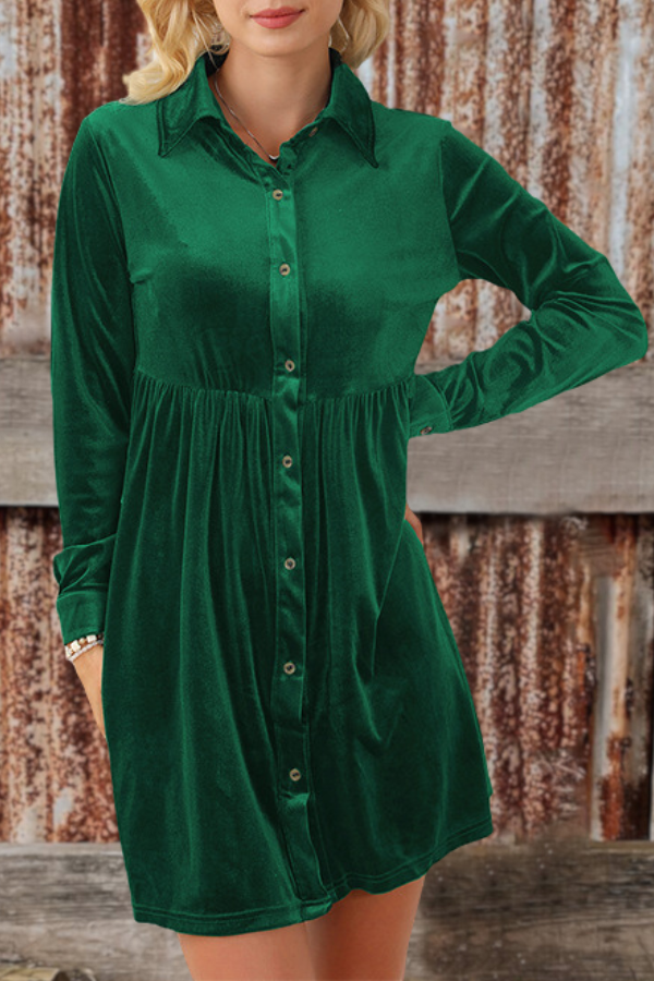 Long Sleeve Velvet Button Up Dress