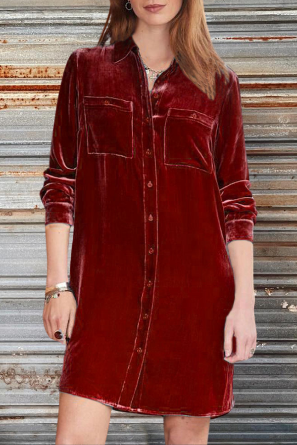 Long Sleeve Velvet Dress